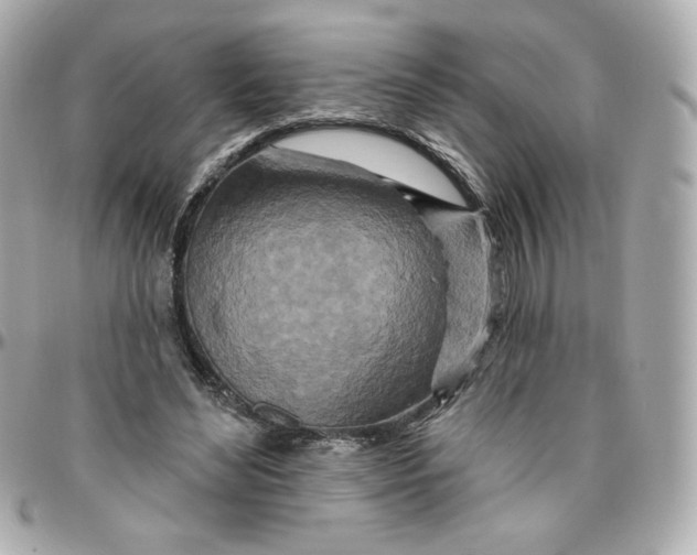 X0000095880492200802011047