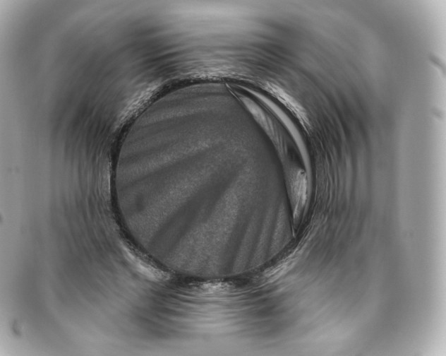 X0000095880493200802011047