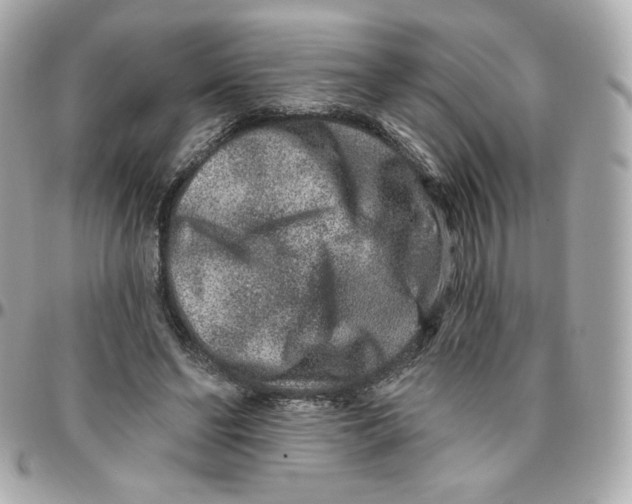 X0000095880494200802011047