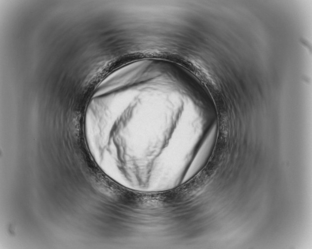 X0000095880495200802011047