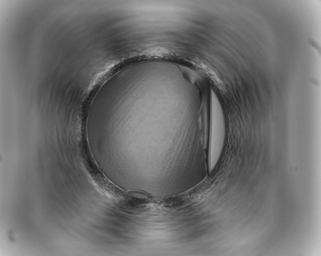 X0000095880496200802011047