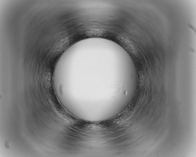 X0000095880498200802011047