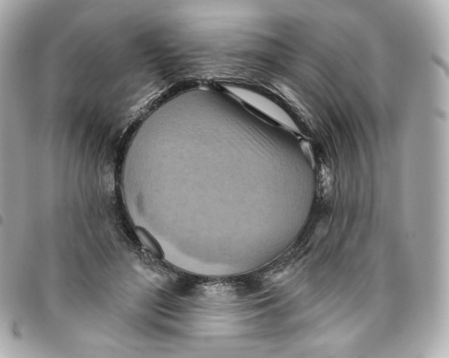 X0000095880500200802011047