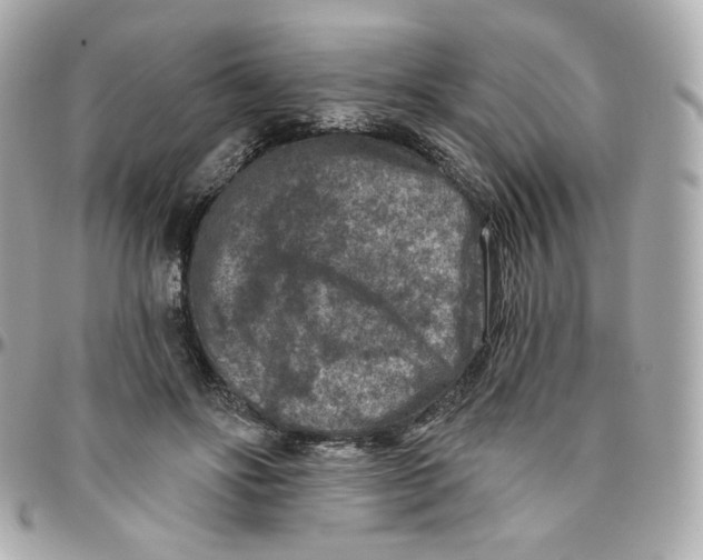 X0000095880502200802011047