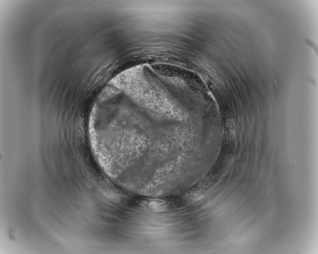 X0000095880506200802011047