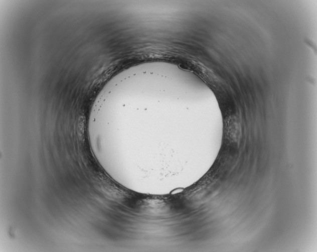 X0000095880509200802011047