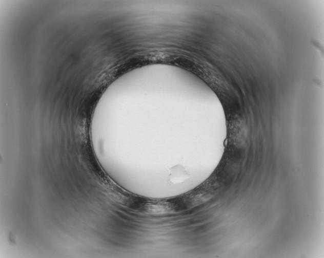 X0000095880510200802011047