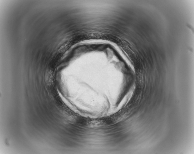 X0000095880511200802011047