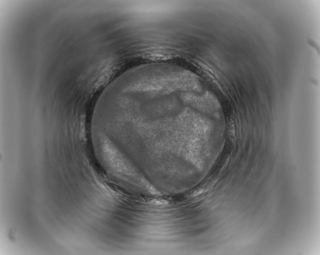 X0000095880512200802011047