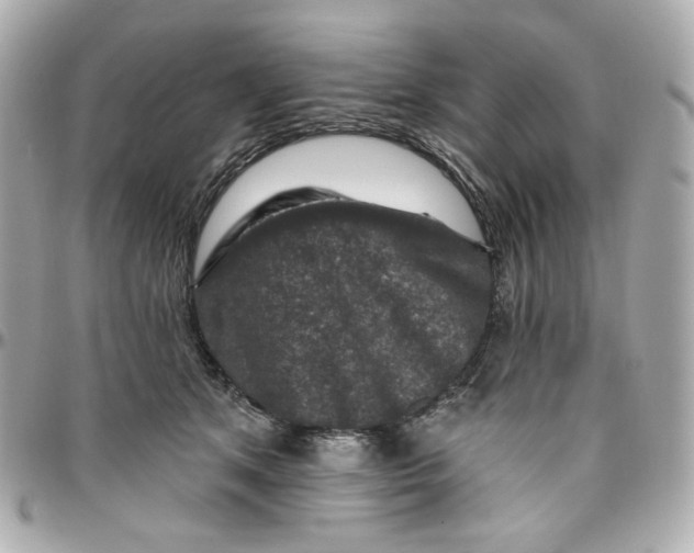 X0000095880513200802011047