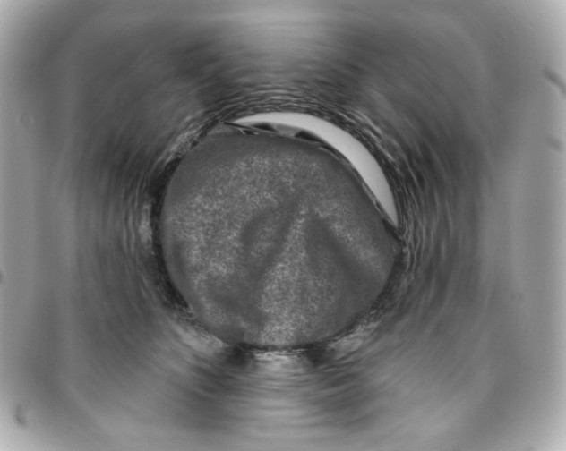 X0000095880516200802011047