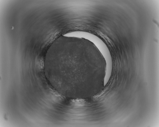 X0000095880517200802011047