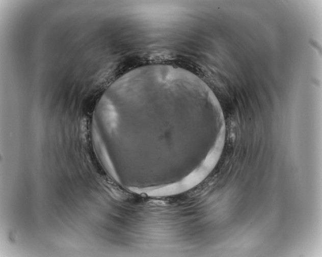 X0000095880519200802011047