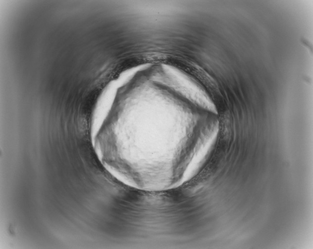 X0000095880523200802011047