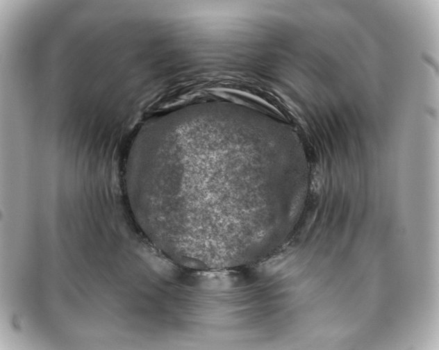 X0000095880524200802011047