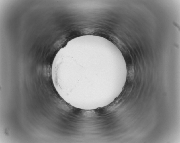 X0000095880525200802011047