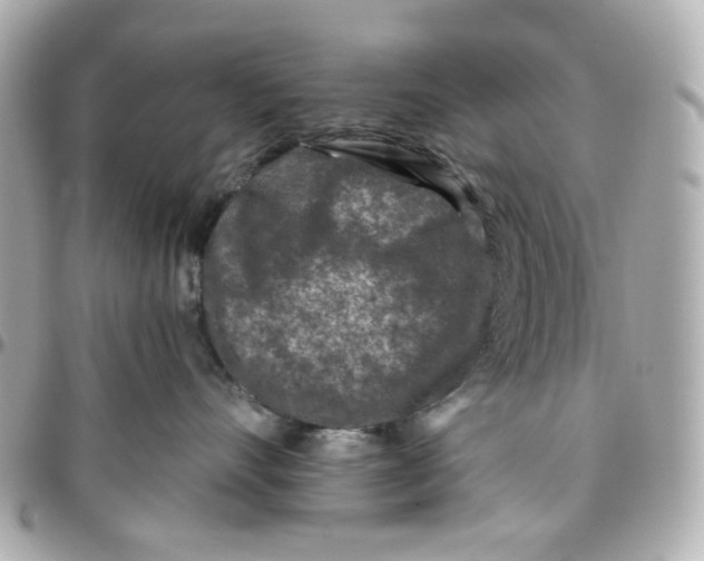 X0000095880528200802011047