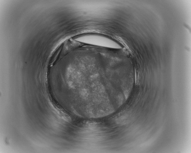 X0000095880531200802011046