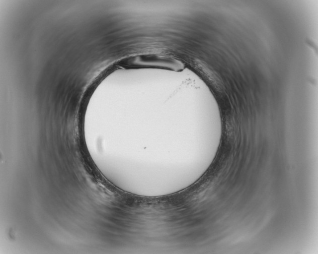 X0000095880532200802011046