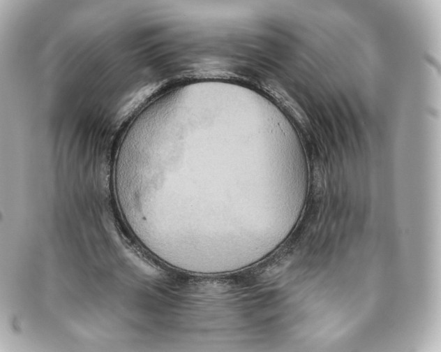 X0000095880533200802011046