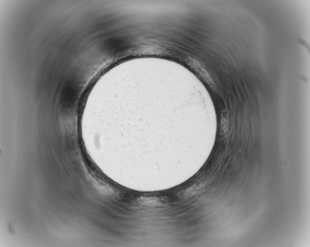 X0000095880534200802011046