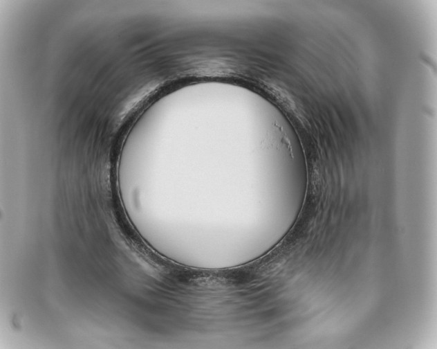 X0000095880535200802011046