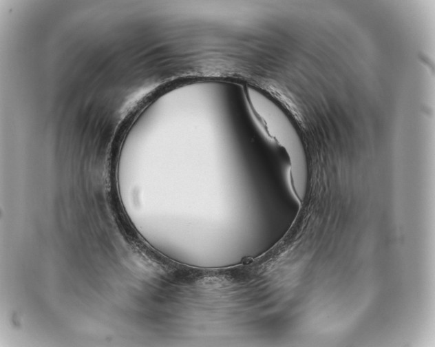 X0000095880536200802011046