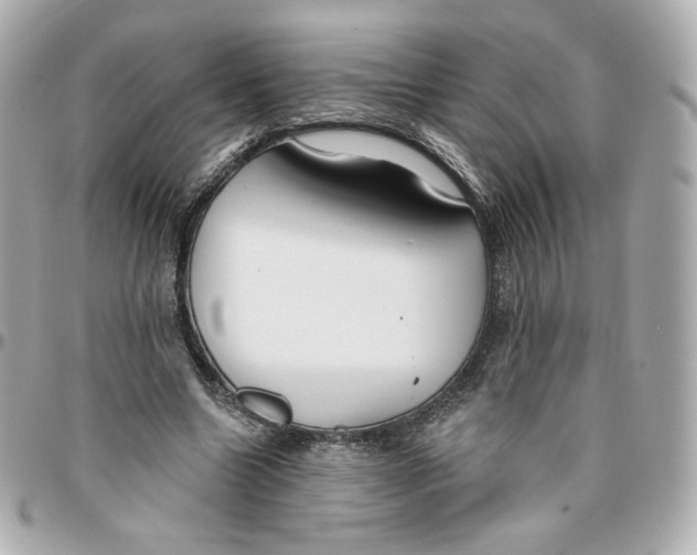 X0000095880538200802011046