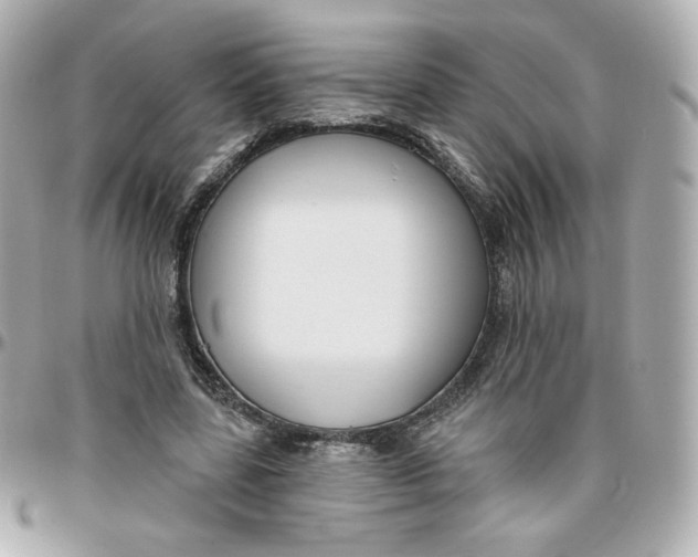 X0000095880539200802011046