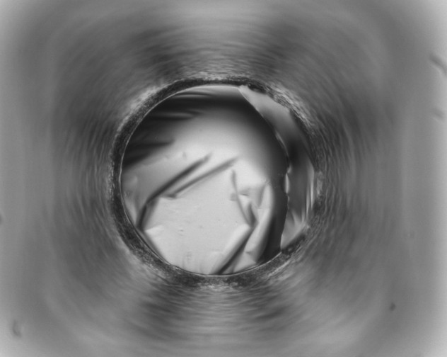 X0000095880540200802011046