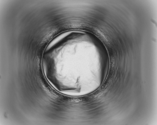 X0000095880542200802011046