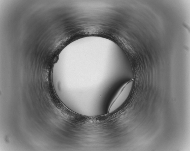 X0000095880543200802011046