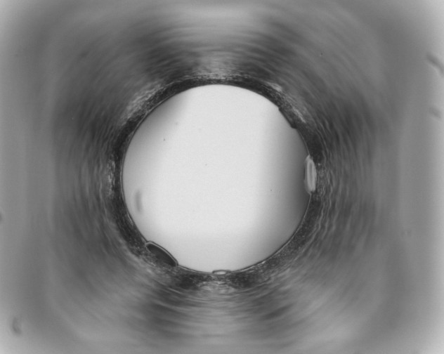 X0000095880544200802011046