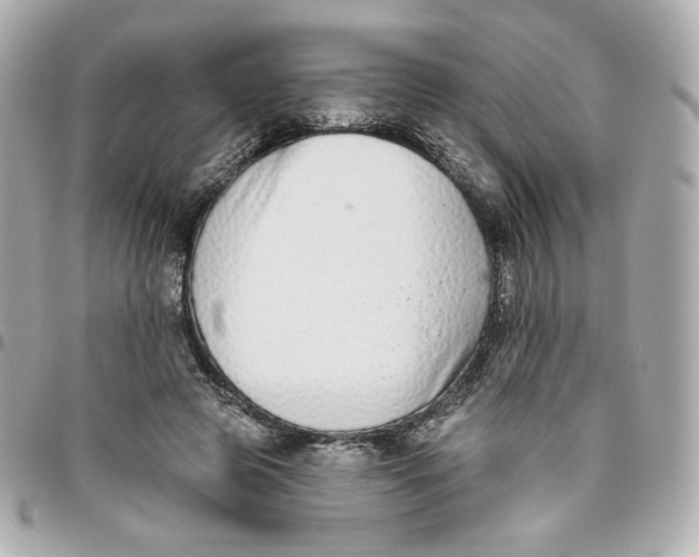 X0000095880545200802011046