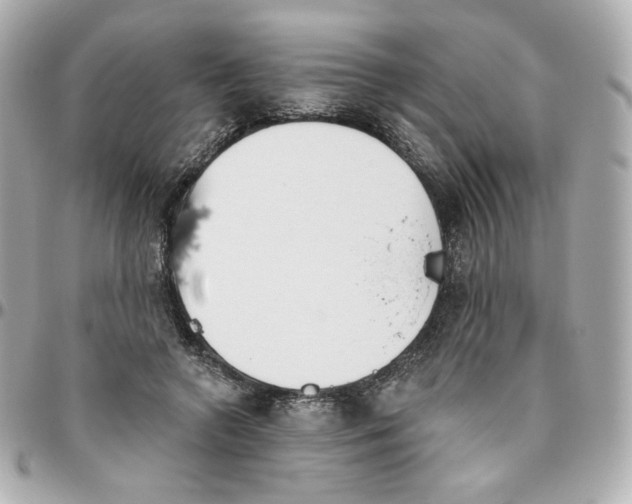 X0000095880546200802011046