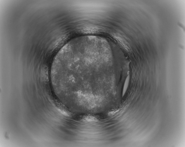 X0000095880547200802011046