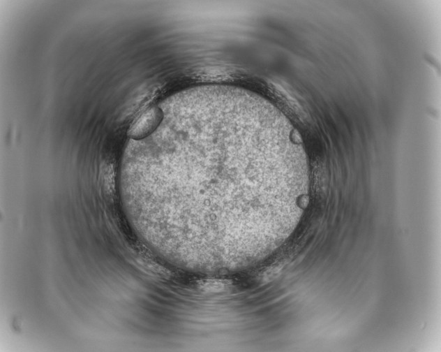 X0000095880549200802011046