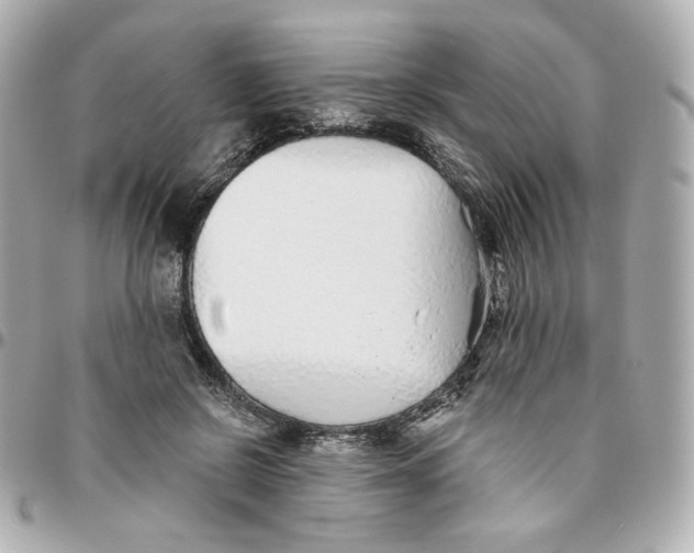 X0000095880550200802011046