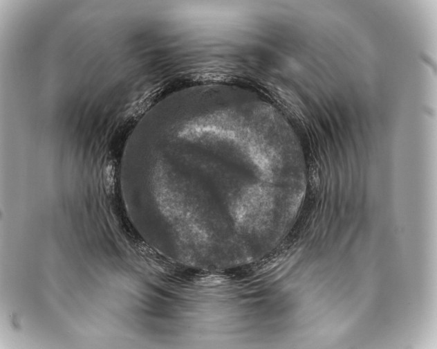 X0000095880551200802011046