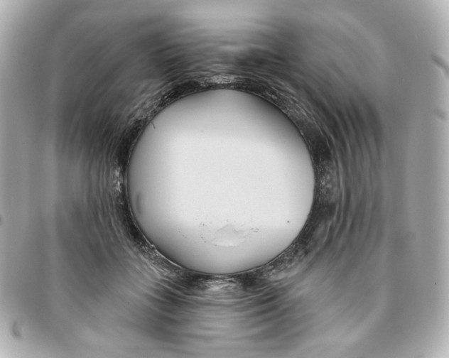 X0000095880555200802011046