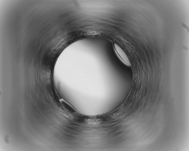 X0000095880556200802011046