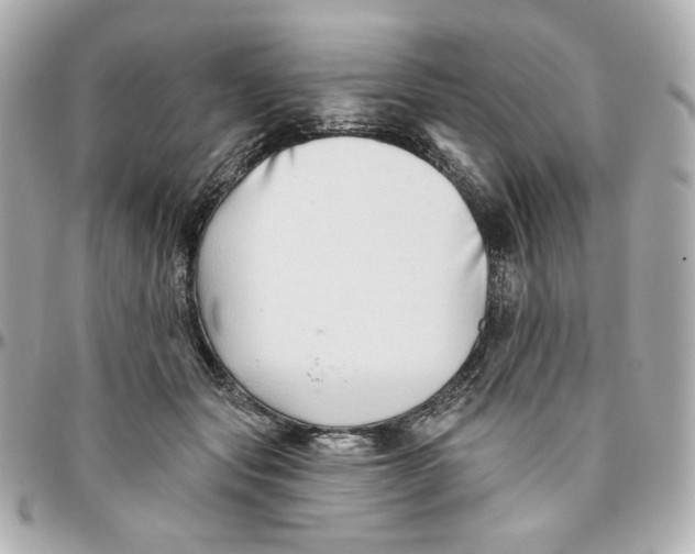 X0000095880557200802011046