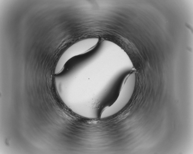 X0000095880558200802011046