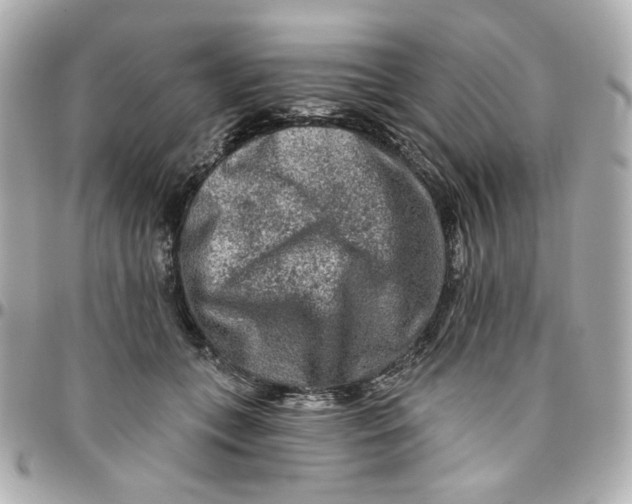 X0000095880559200802011046