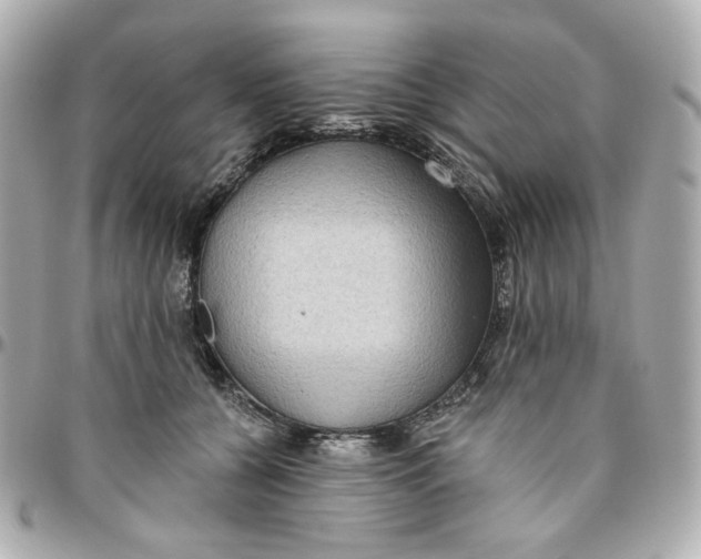 X0000095880560200802011047