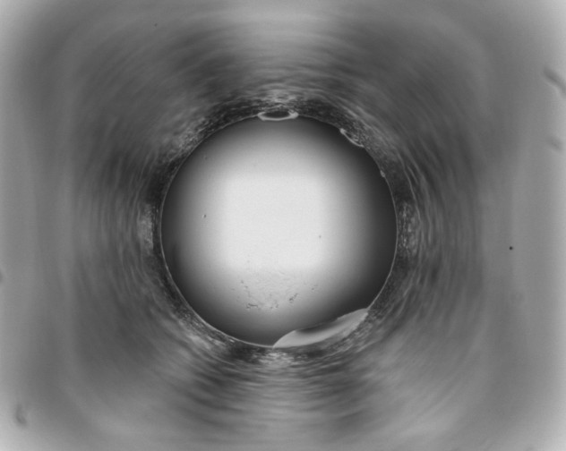 X0000095880562200802011047