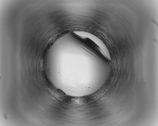 X0000095880564200802011047