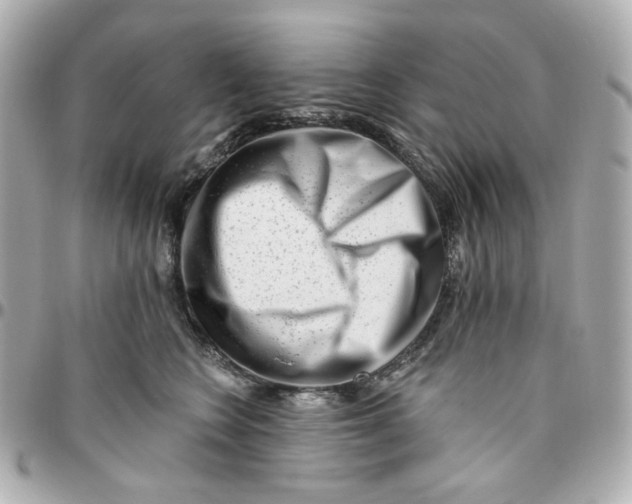 X0000095880566200802011047