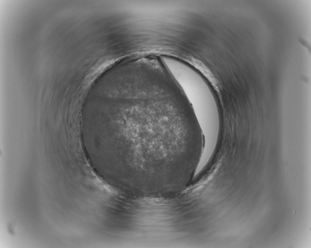 X0000095880577200802011046