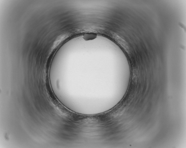 X0000095880578200802011046